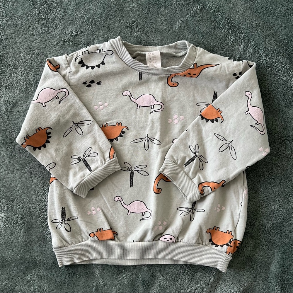 H&M 2T Kids Dinosaur Print Sweatshirt